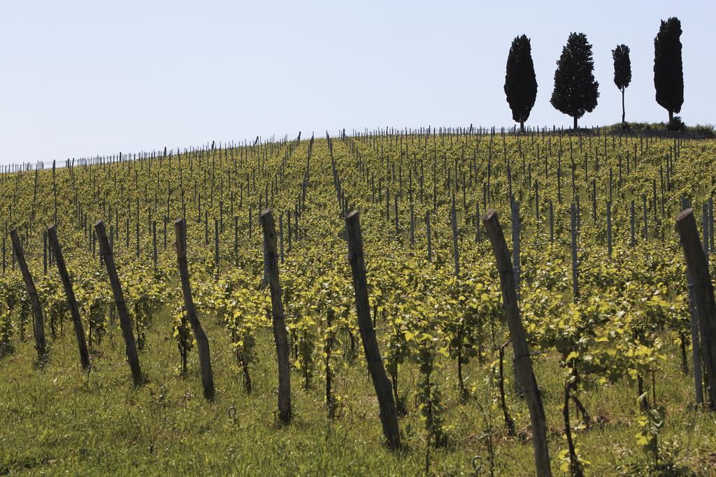 Le Buche Wine Resort&Spa Macciano المظهر الخارجي الصورة