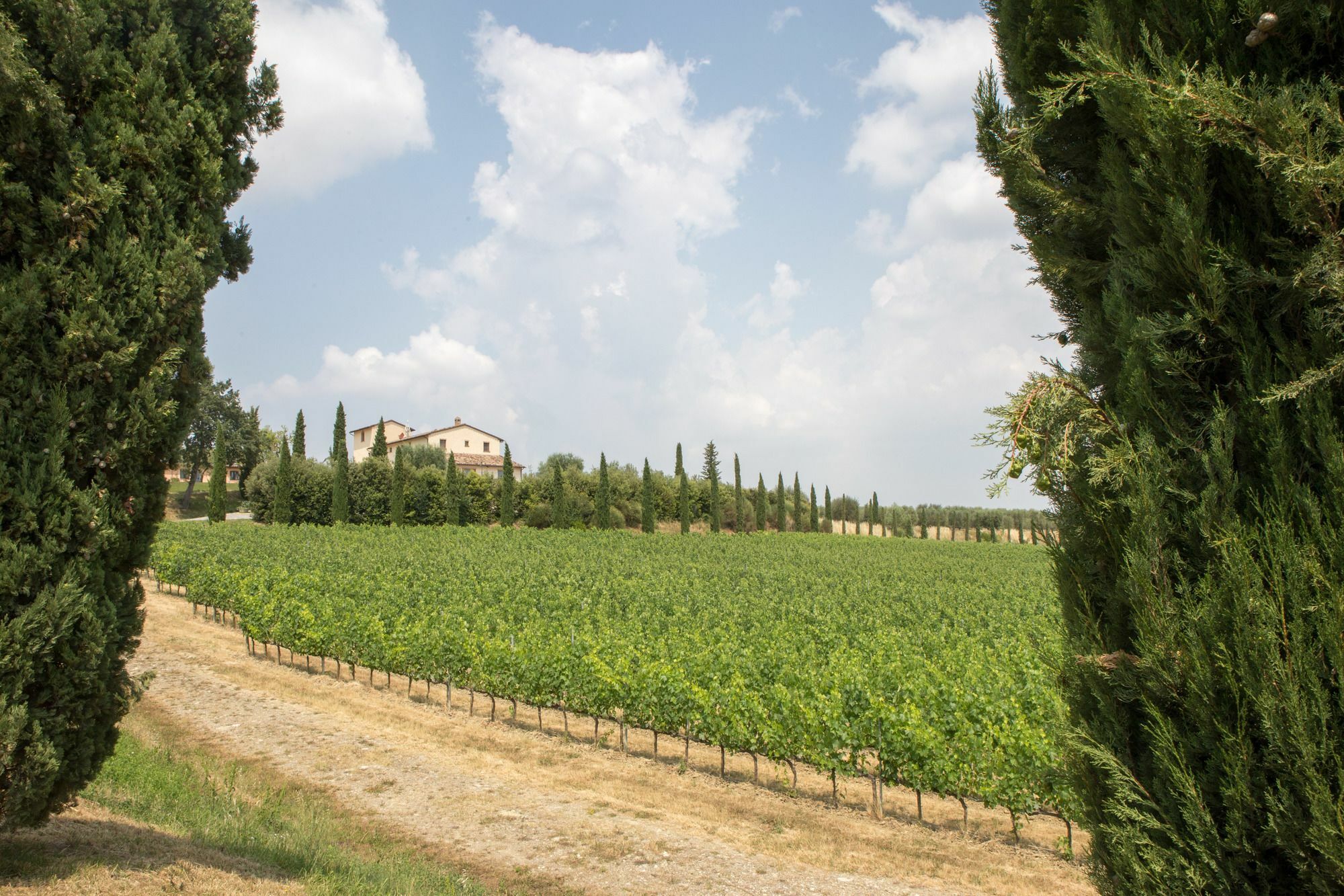 Le Buche Wine Resort&Spa Macciano المظهر الخارجي الصورة