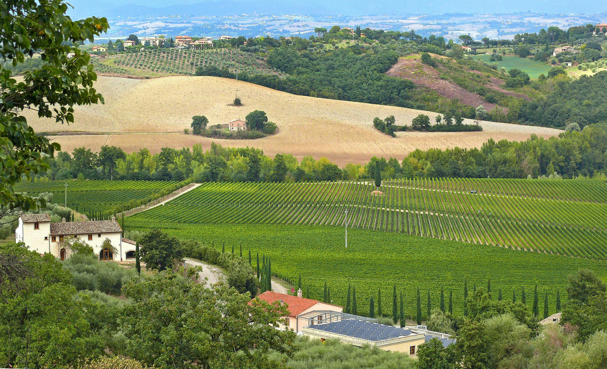 Le Buche Wine Resort&Spa Macciano المظهر الخارجي الصورة